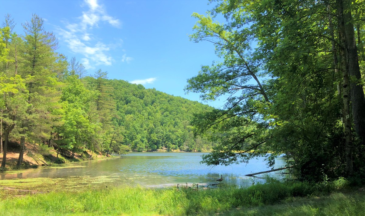 What To See On Hike One –&nbsp;2026